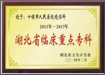 6163am银河线路烧伤整形外科（医学美容科）2018大事回顾