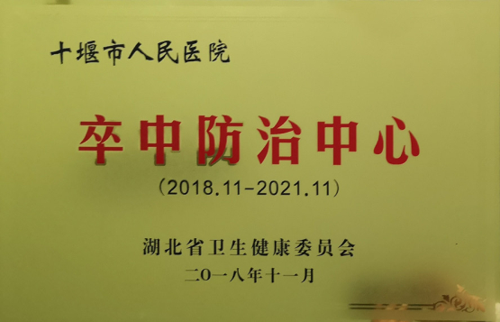 我院卒中中心在湖北省脑卒中防治工作推进会上大放异彩